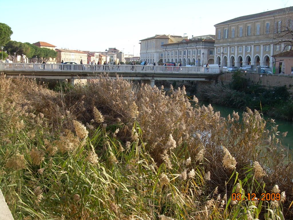 SENIGALLIA PONTE GARIBALDI by CAVALLO PAZZO