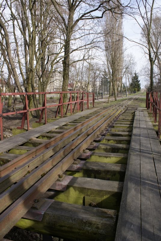 Żnin. Pałuki. Poland. by wurkut