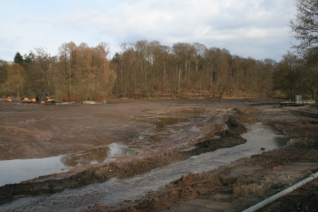 Darmstadt - Steinbrücker Teich by Peter Stehlik