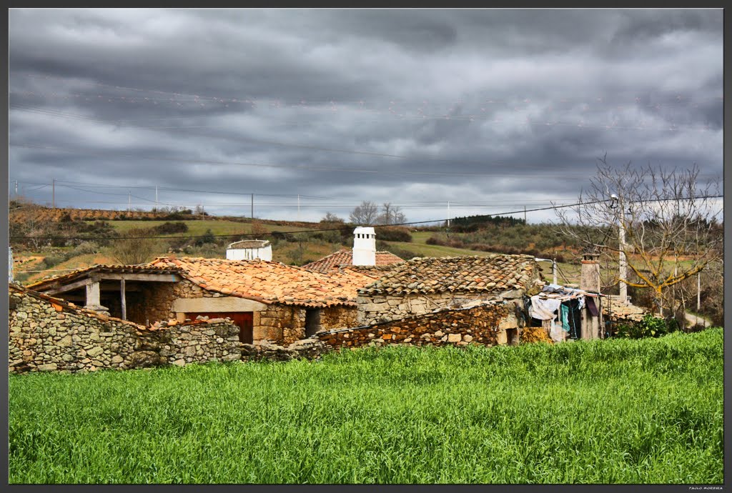 Algosinho, Mogadouro by Paulo Moreira