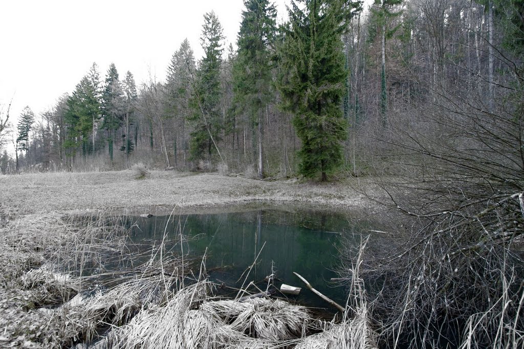 Weiher_Weinmannstrasse_Wülflingen_Winterthur by MaCello