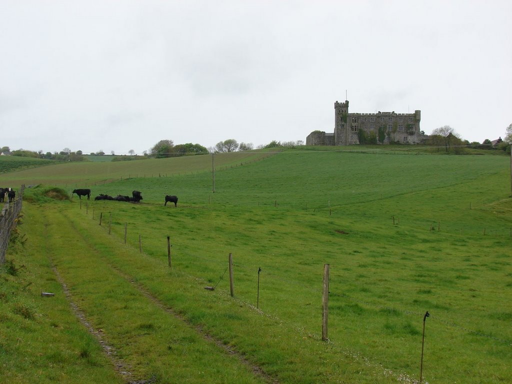 Kilbrittain Castle by misspaxley49