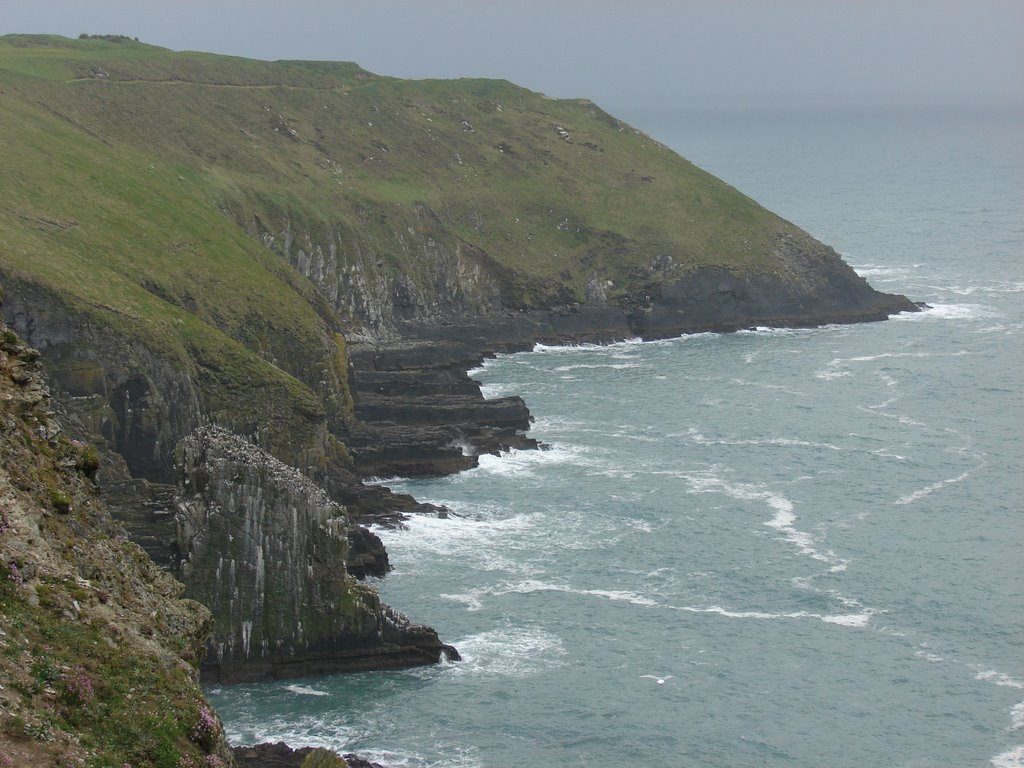 Old Head of Kinsale by misspaxley49