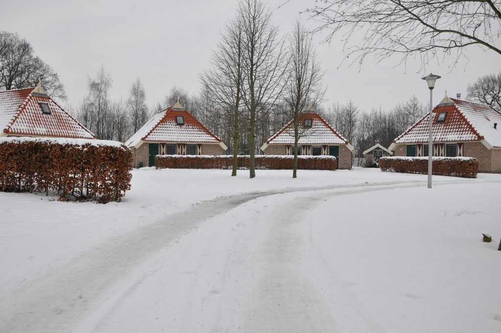 Bungalows (Park Striks Erve) by Rob Bouwman