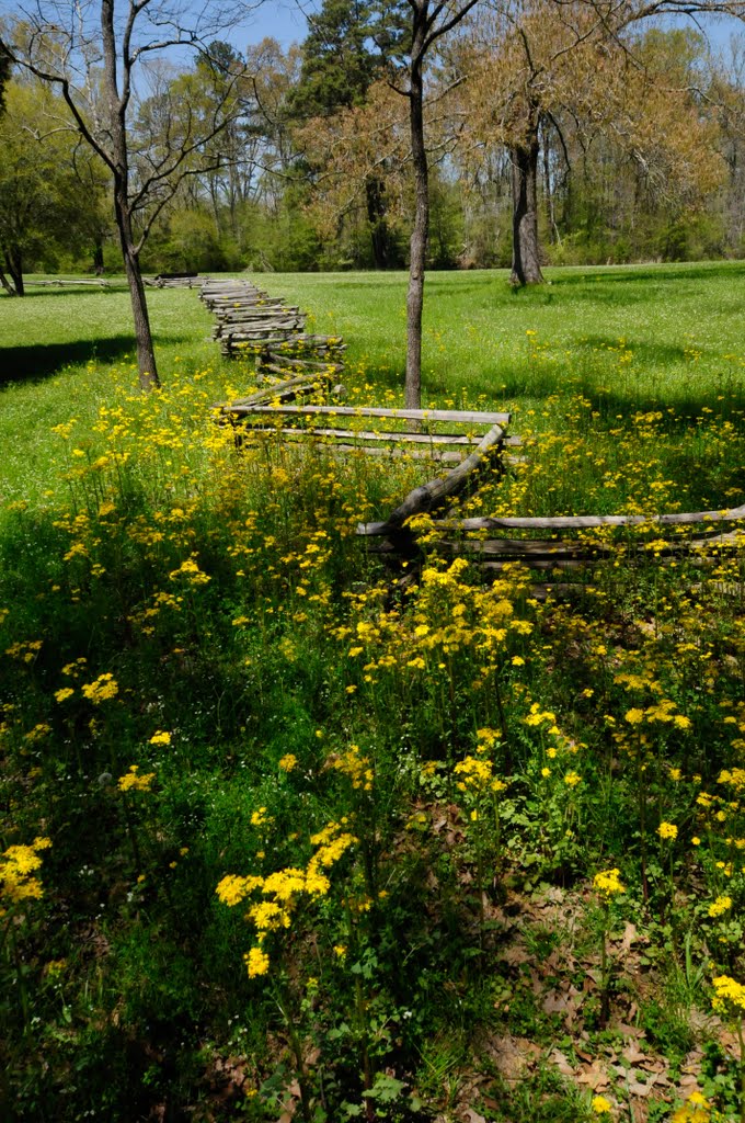 Along Natchez Trace by JJNich44