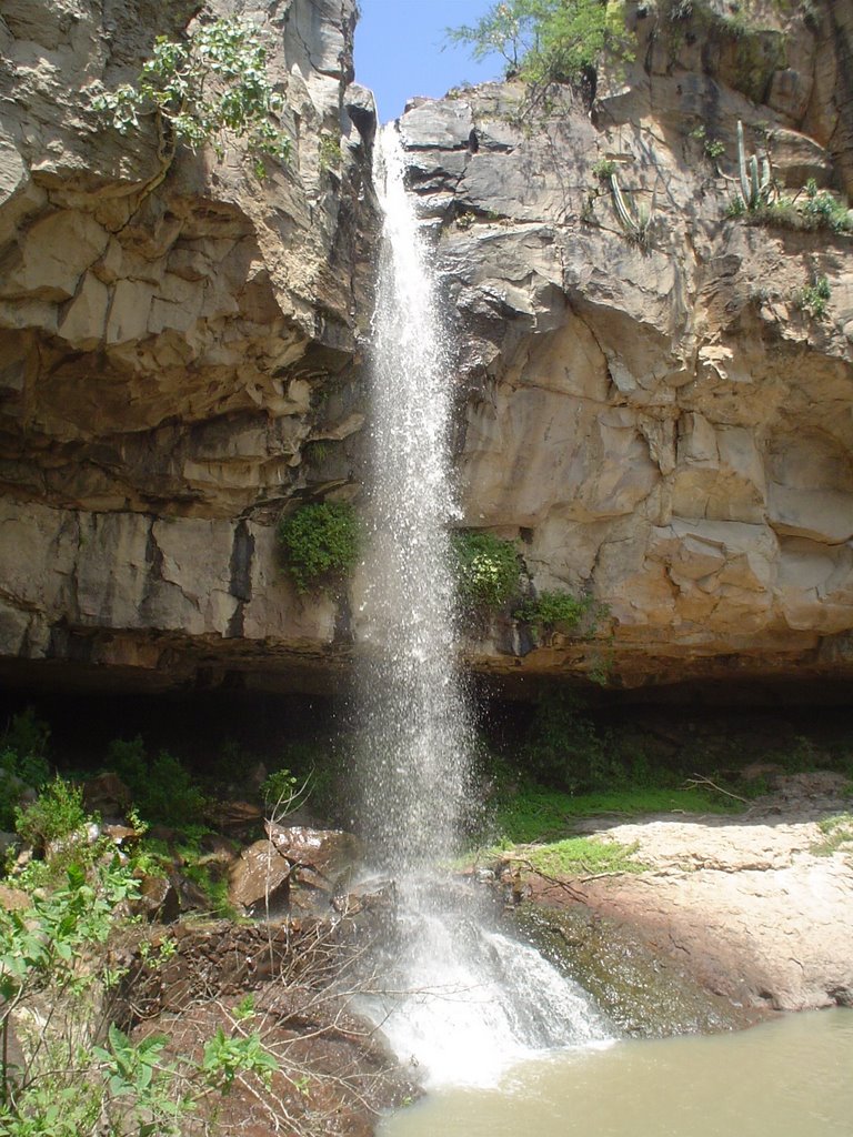 Cascada Cerro Blanco, Ags by Orlando Juarez