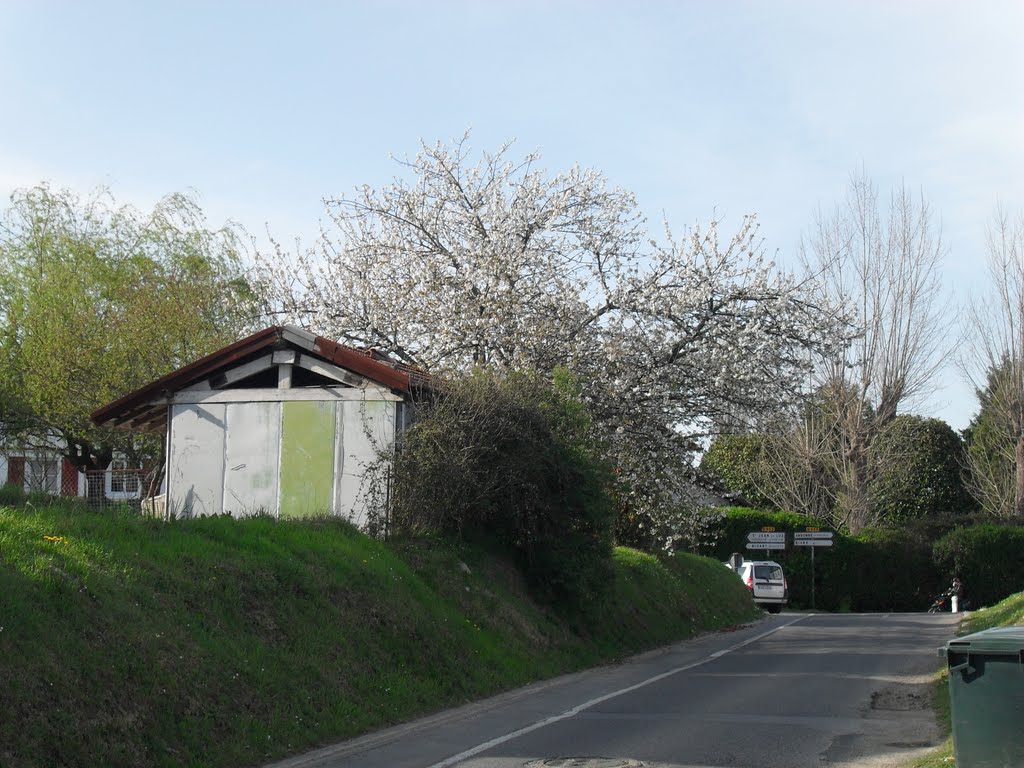 Printemps a ahetze by david ollagnon