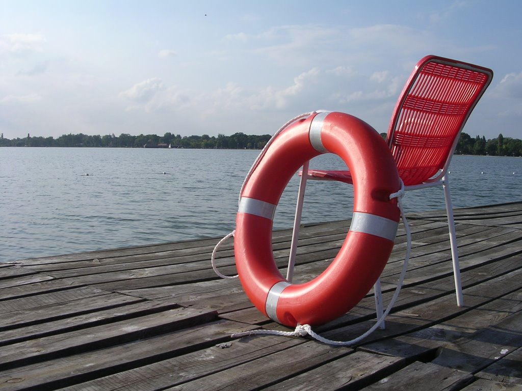 Palic peer on the beach by tamas.amstadt