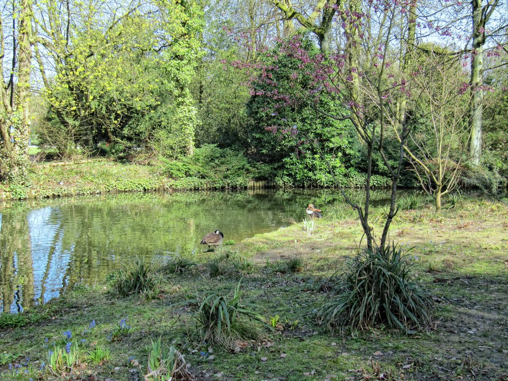 Essen-Borbeck / Schloßpark / Teich im Schloßpark by Cityfotograph