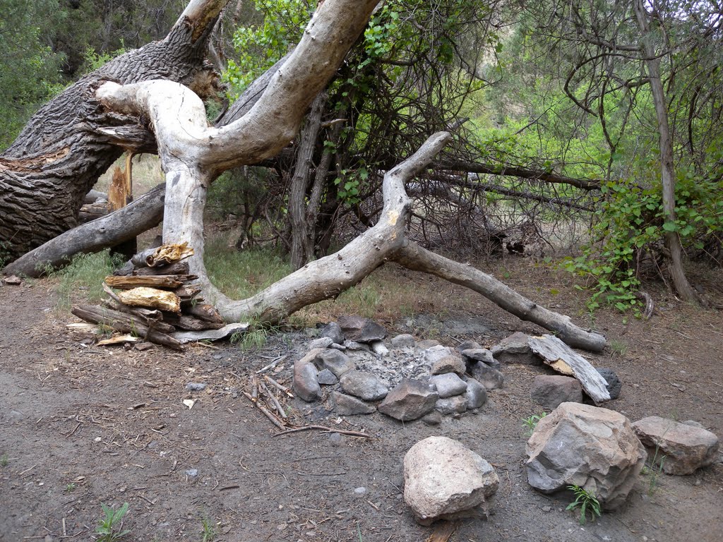 On the way to Gila Hot Springs by yubert