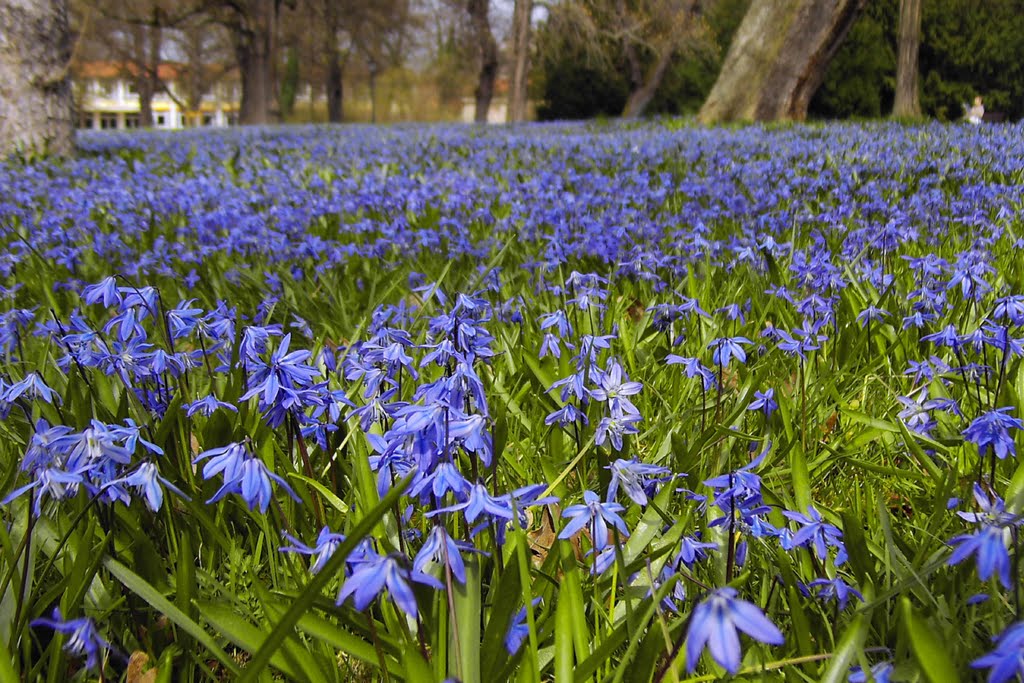 Ostergruß aus dem Nordpark by K. Fischer