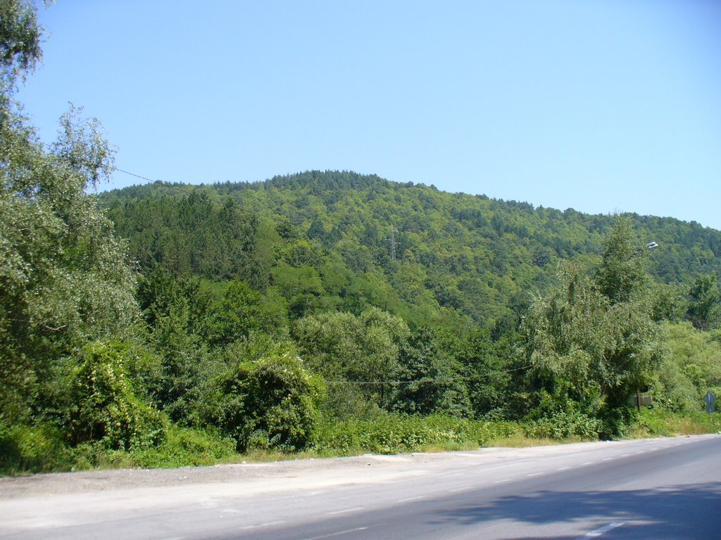 Rayon Vitosha, Bulgaria by Maksim Hristov