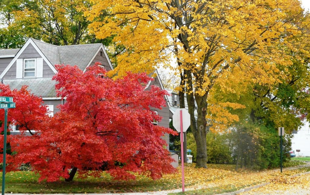 Autumn Colors by slivshin