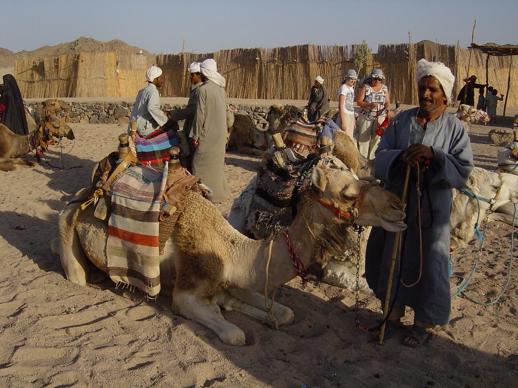 Camel Ride by David Macedo