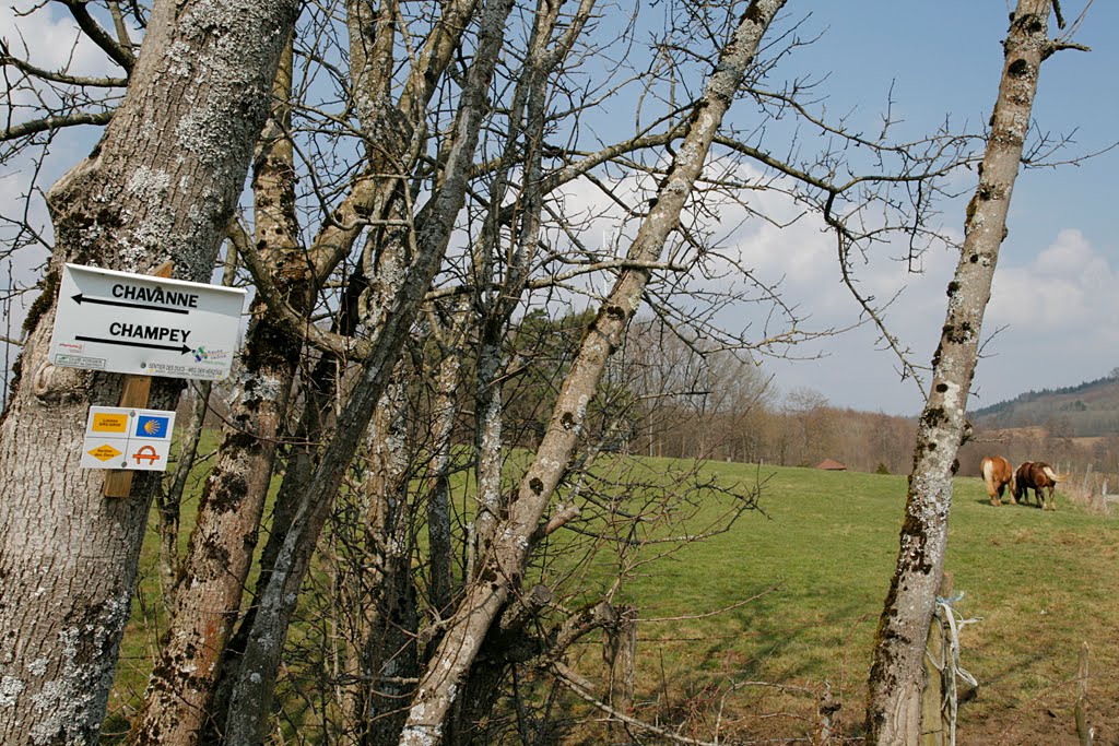 Chemins de randonnée au Vernoy by arcoirisphoto