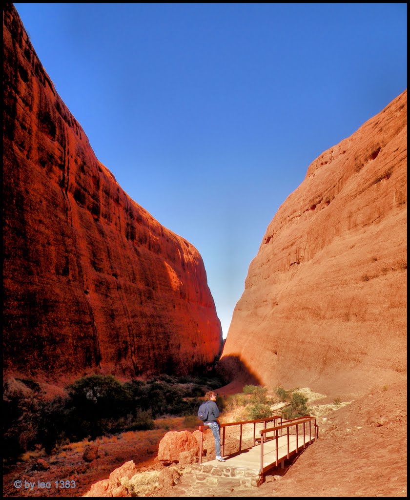 Kata Tjuta/Olgas colors....© by leo1383 by leo1383