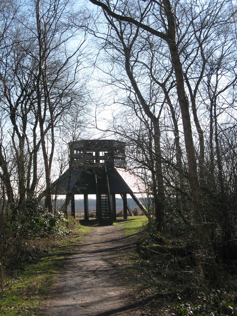 Risley Moss viewing platform by northturton