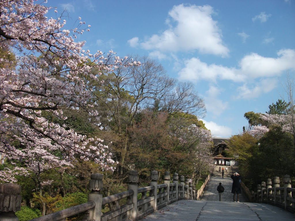 京都　大谷本廟 by mariemon