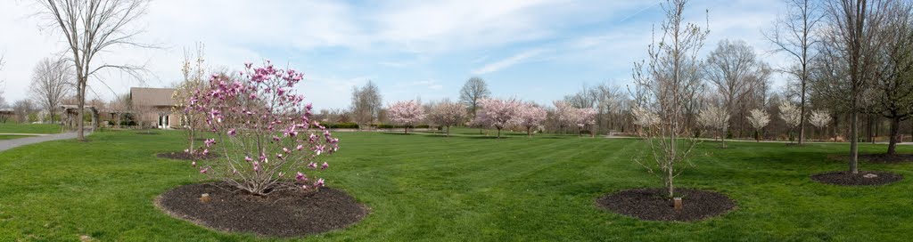 In the Arboretum by Matthew Plante