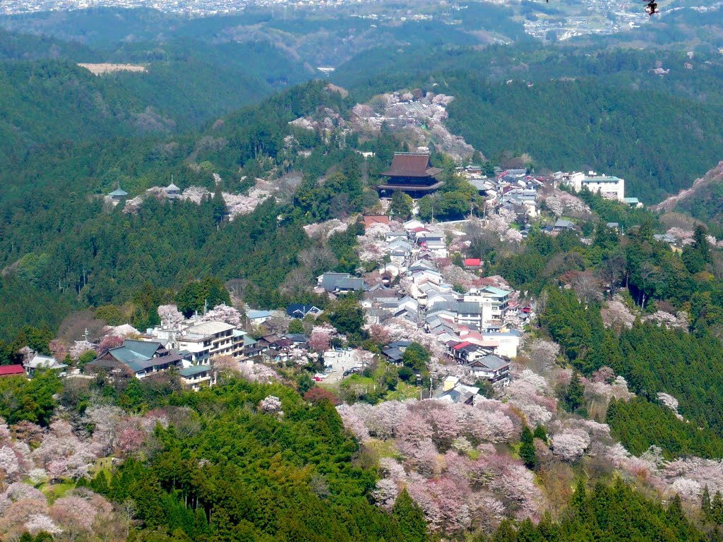 吉野山 Yoshinoyama in spring 2010.4.08 by as365n2