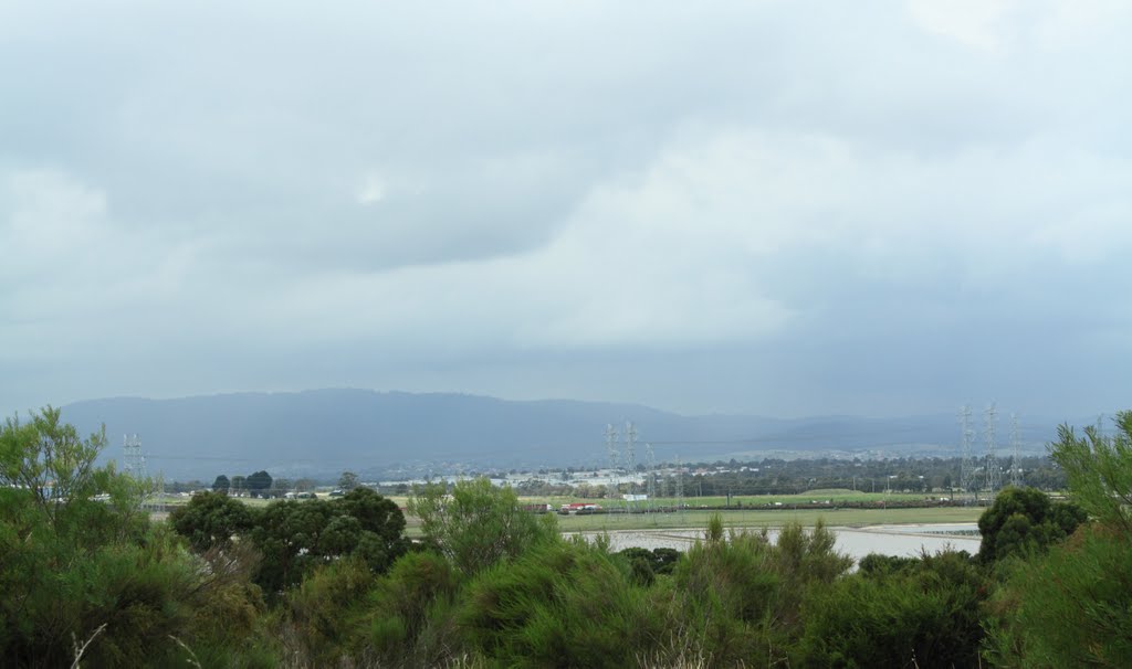 Corbanwarrabul Wetlands and View on Dandenong Mountains by ΅ PhotoKazia ΅