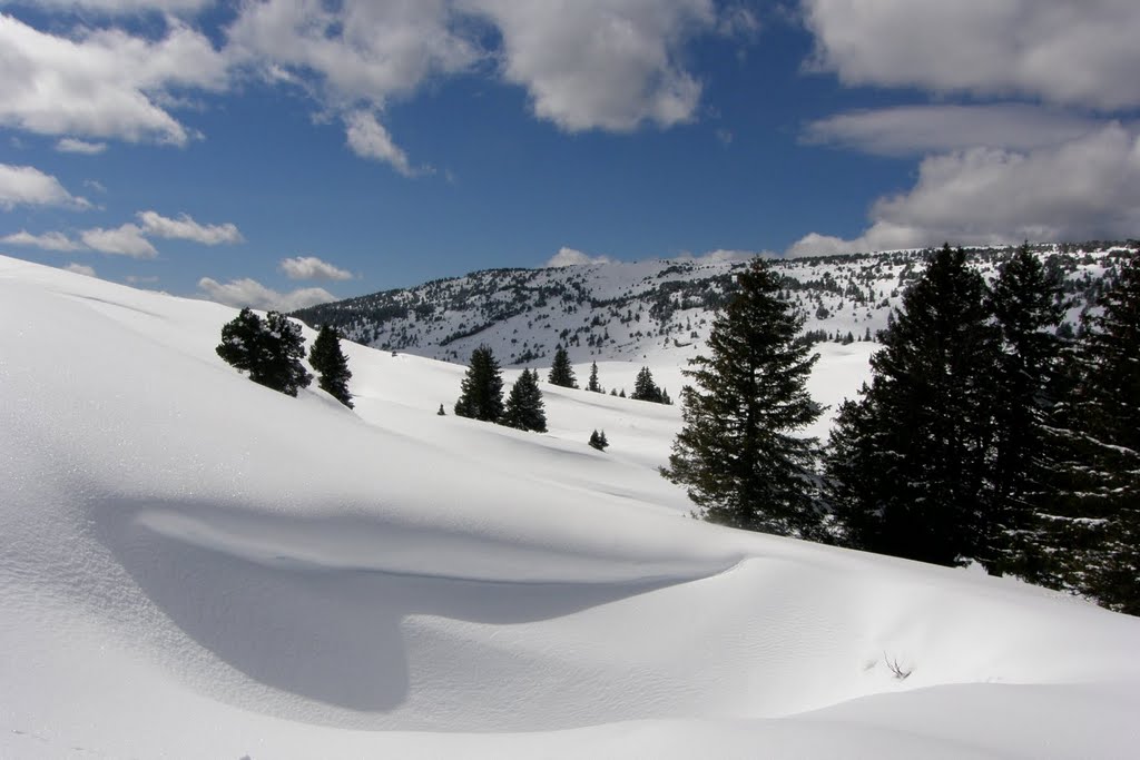 2010-04-02 Neige vierge sur le haut plateau de chartreuse - Savoie by Julien LIBERT