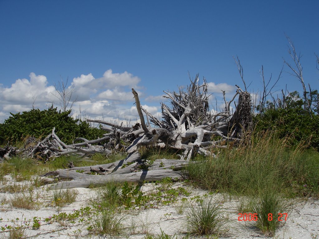 LOVERS KEY STATE PARK #01 by cjtill