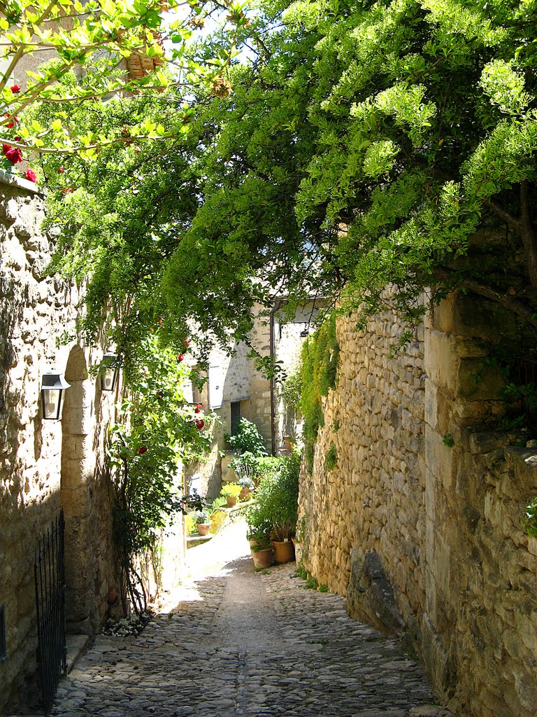 Une ruelle ensoleillée à Lacoste by Liliane Paingaud