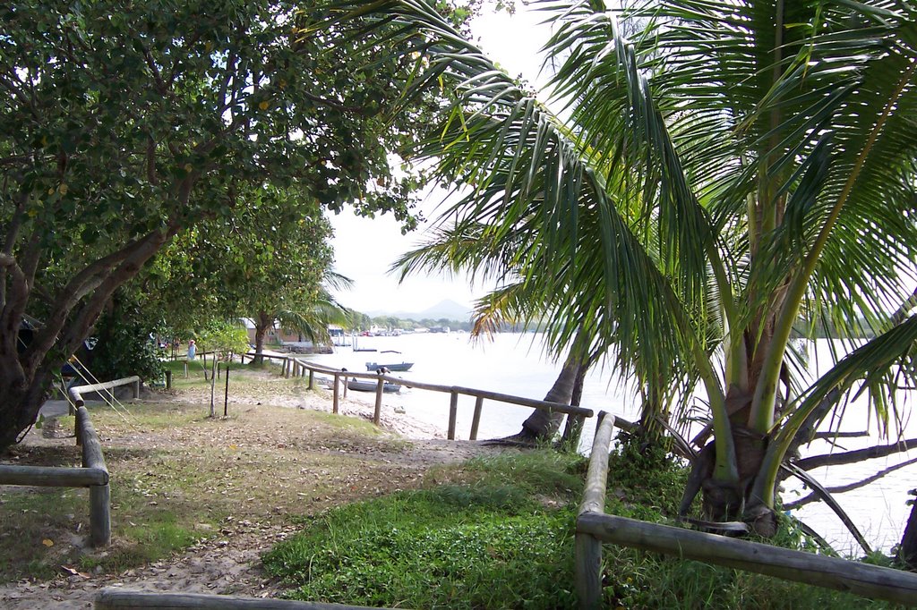 Noosa River from Munna Point- Noosa River Caravan Park by mamorse