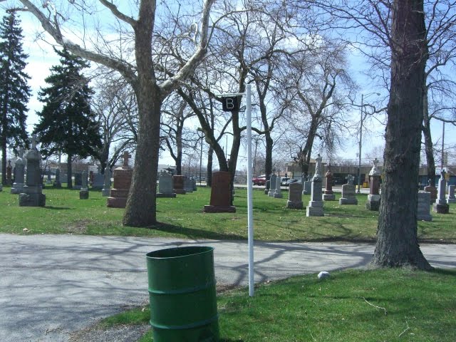 East Boundary before Bethania Cemetery by parzygnatm