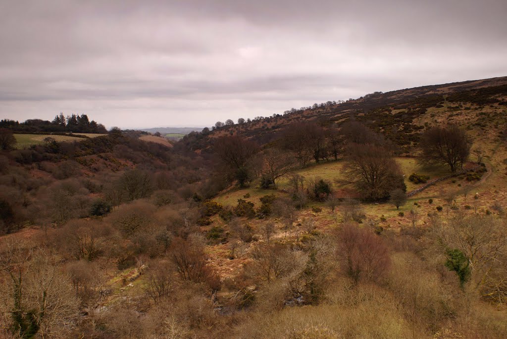 Belstone, Dartmoor. View over Skaigh. by andrewhead