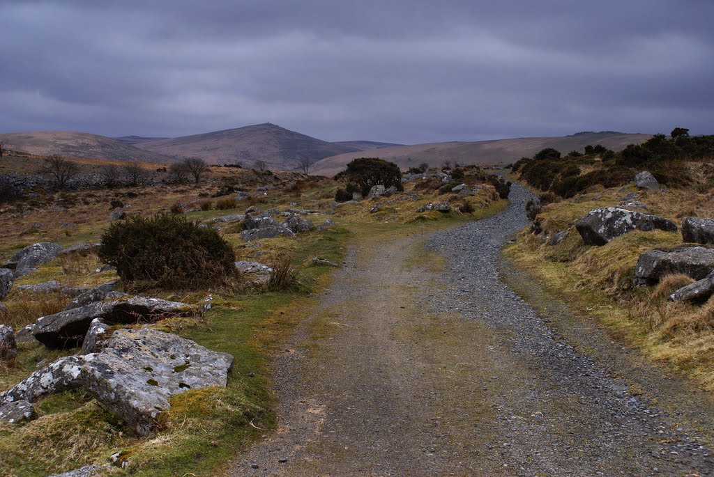 Steeperton Tor from Taw Marsh. by andrewhead