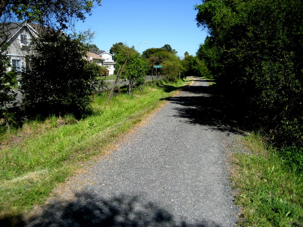 Steele Creek path 2 by Elliot Kallen