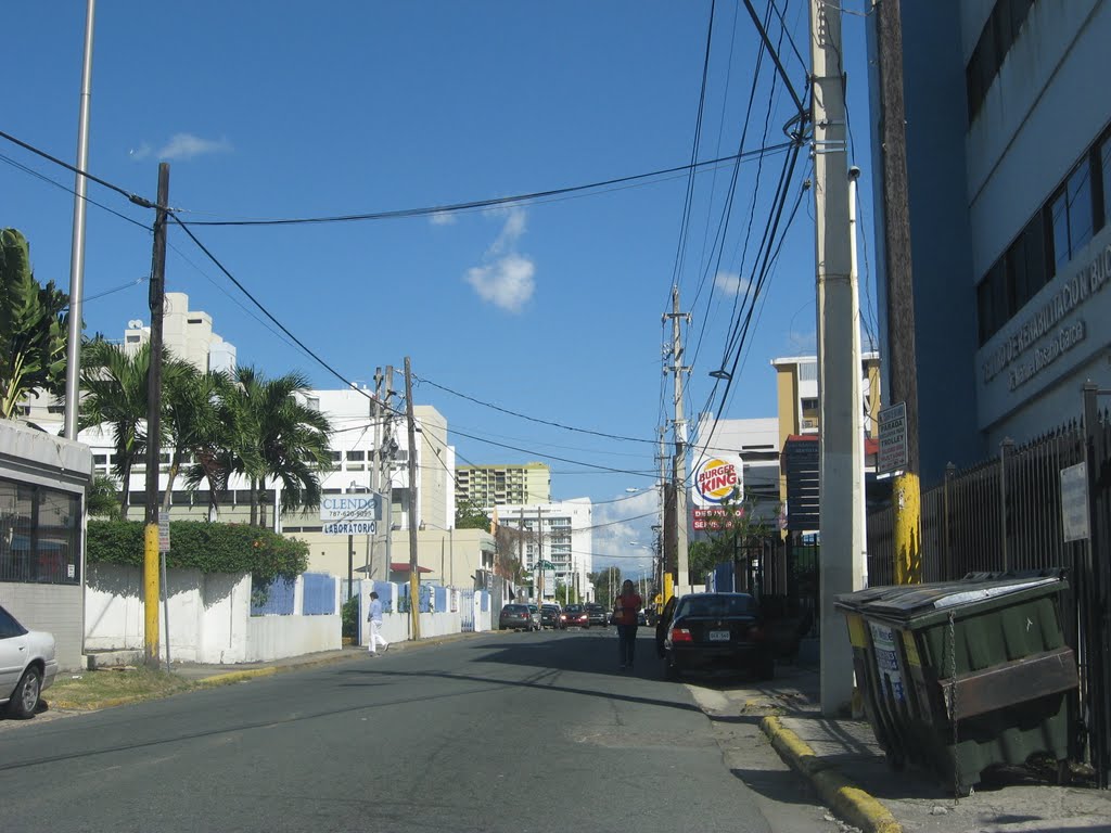 PR-855 Calle Santa Cruz, Bayamón, PR 2010-03 by jossie