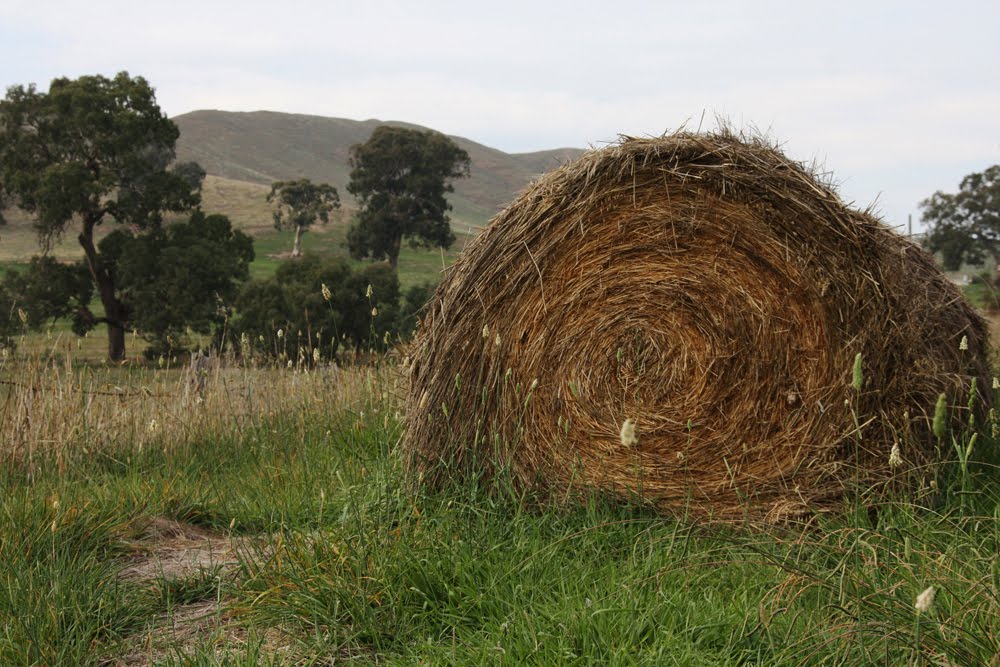 Haybale by Marbiz