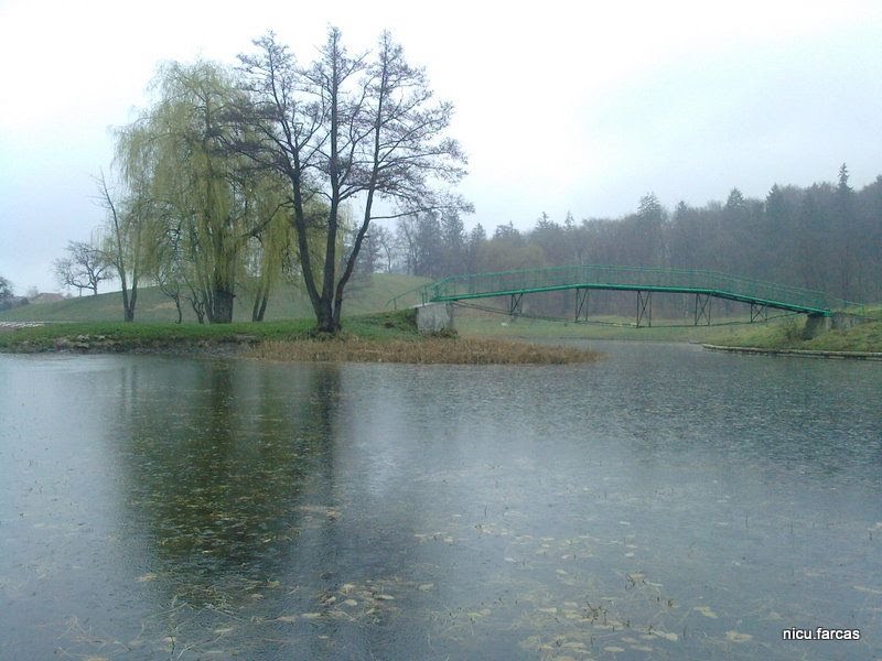 Zile ploioase de aprilie 2010 (Lacul Noua, Brașov) by nicu.farcas