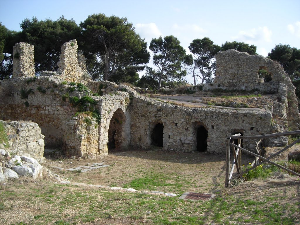 Ruderi del Castello Eufemio by Vincenzo B.