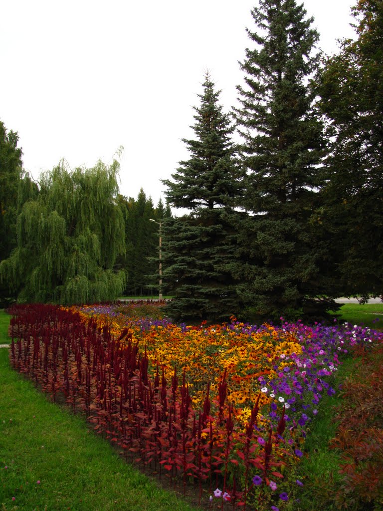 Garden near the Government of SB RAS and Lavrentiev monument by Alexander Bushuev