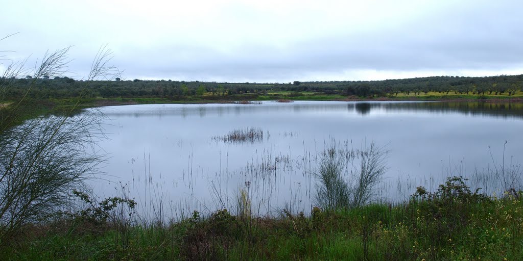 Todo serenidad. Laguna de los Olivares. (Calzadilla) by mundele.