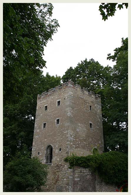 Tower at Herzogpark by J. Radlbeck