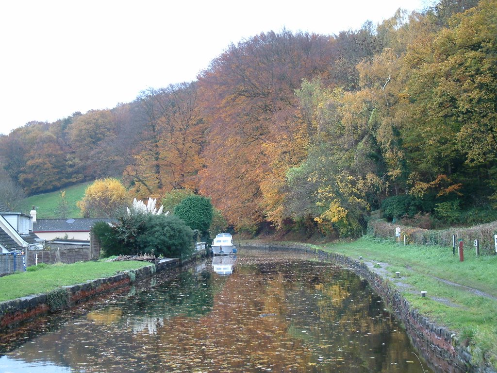 Canal at Govilon in November by ck.gates