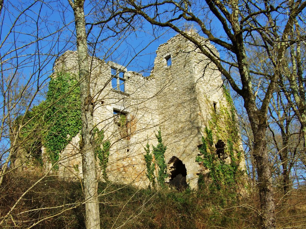 Ruines du château de Bétaille-46- by Pierre Durand