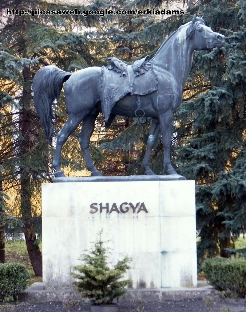 Shagya emlékműve(Shagya arabtelivér) by Erki Ádám