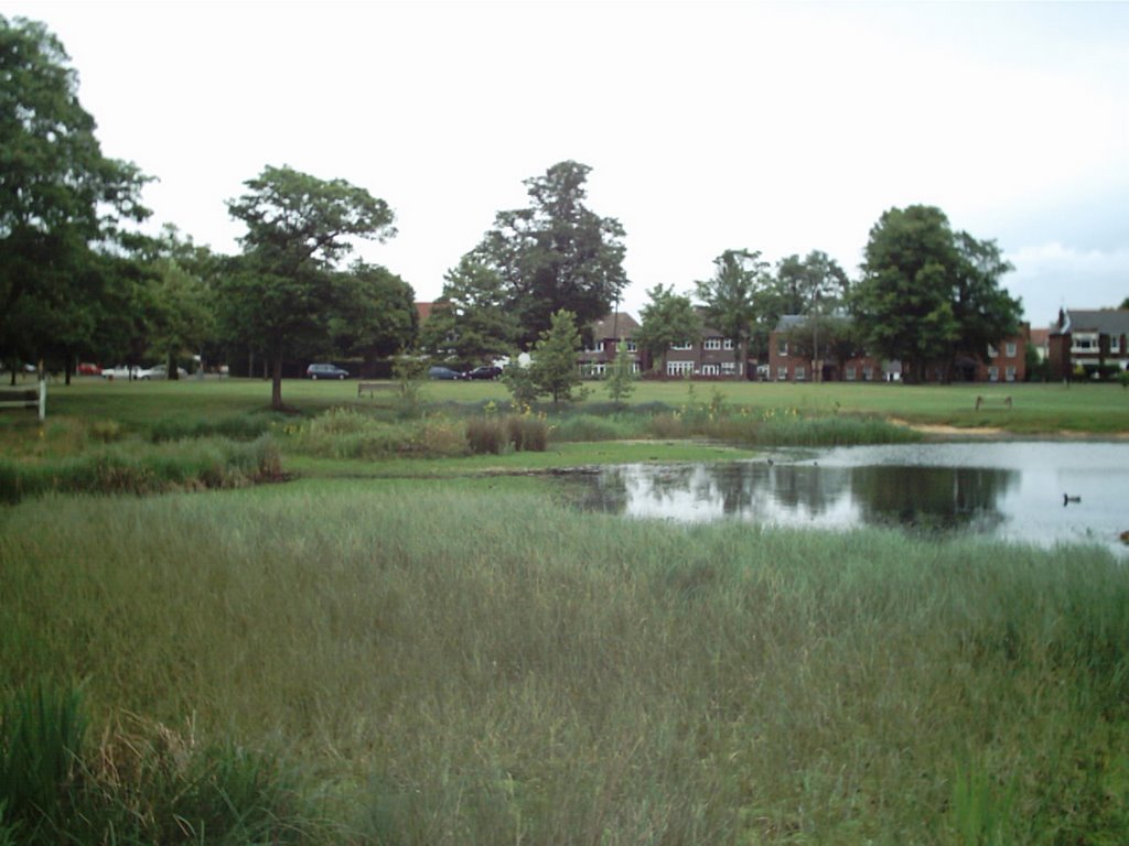 Shenfield Common by Jimmm