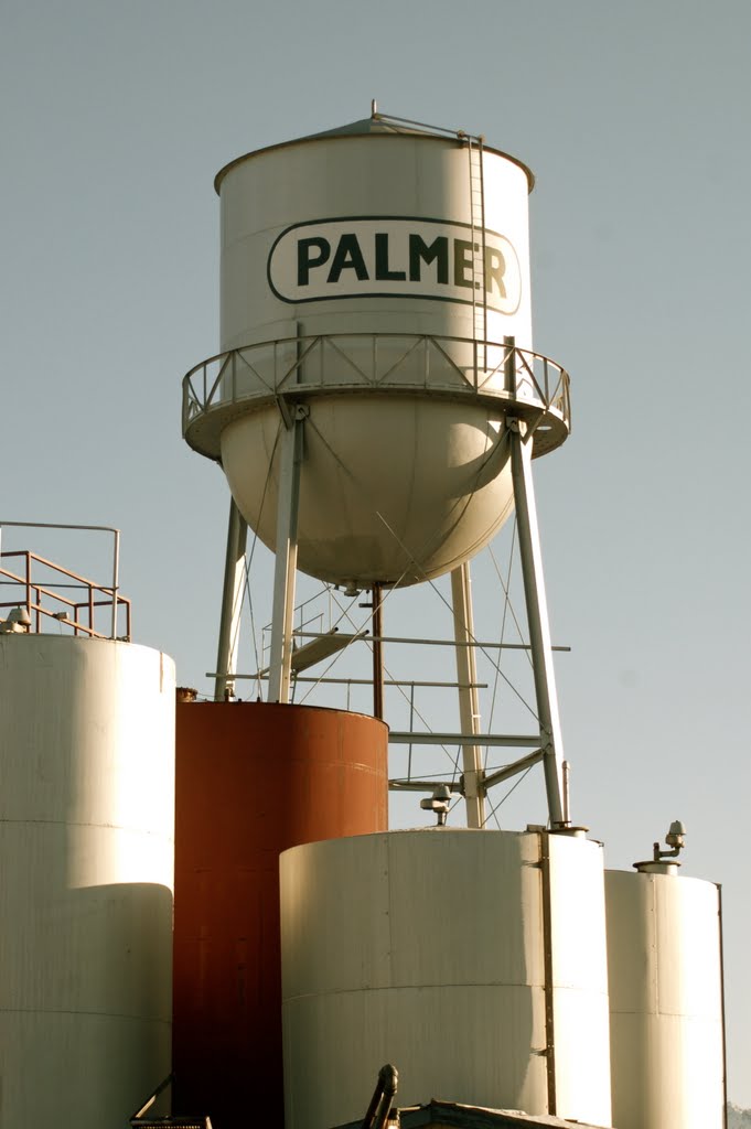 Palmer Water Tower by Cecil Sanders