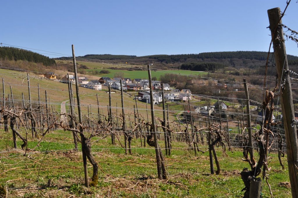 Neubaugebiet Mertesdorf by Herbert Schiffels