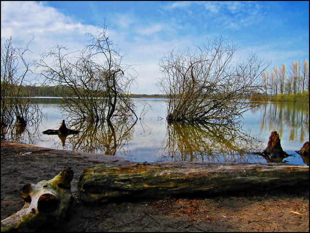 Natur pur 6, Elbsee by Neanderthaler