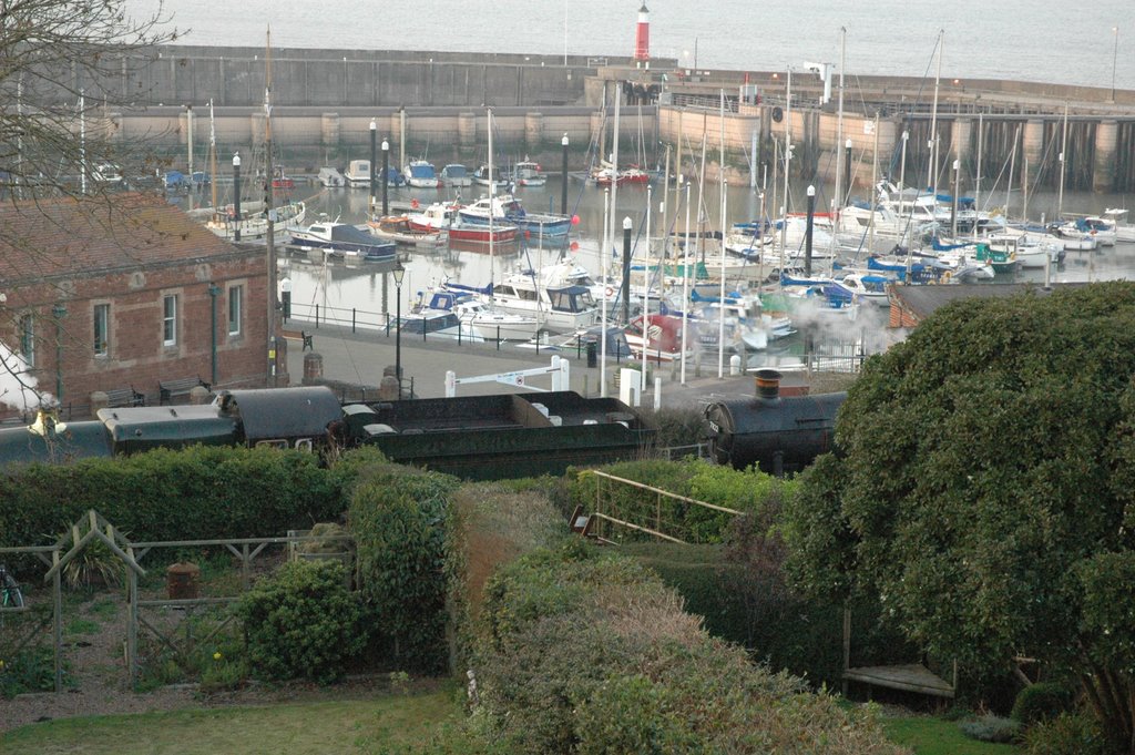 View Of Train From Garden by Adrian Moore