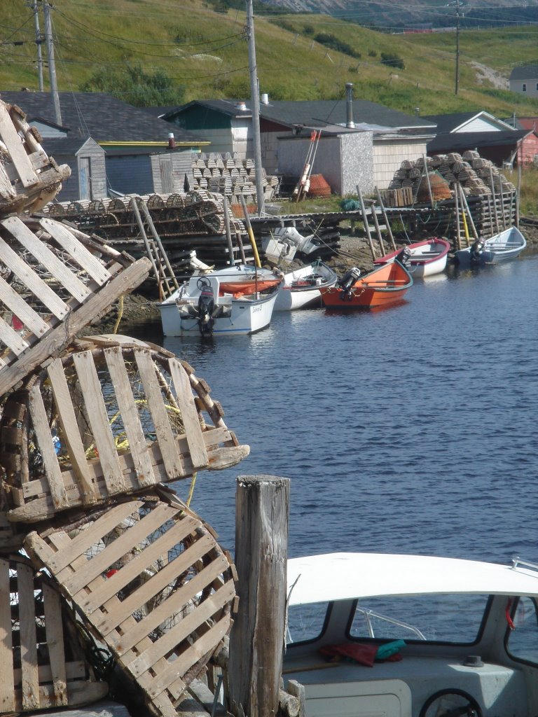 Trout River by Bert Goodyear