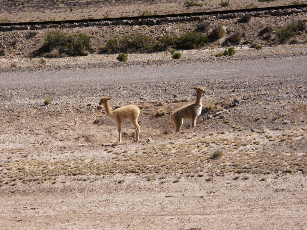 Canahuas 2, Arequipa - 25-05-07 by simo75